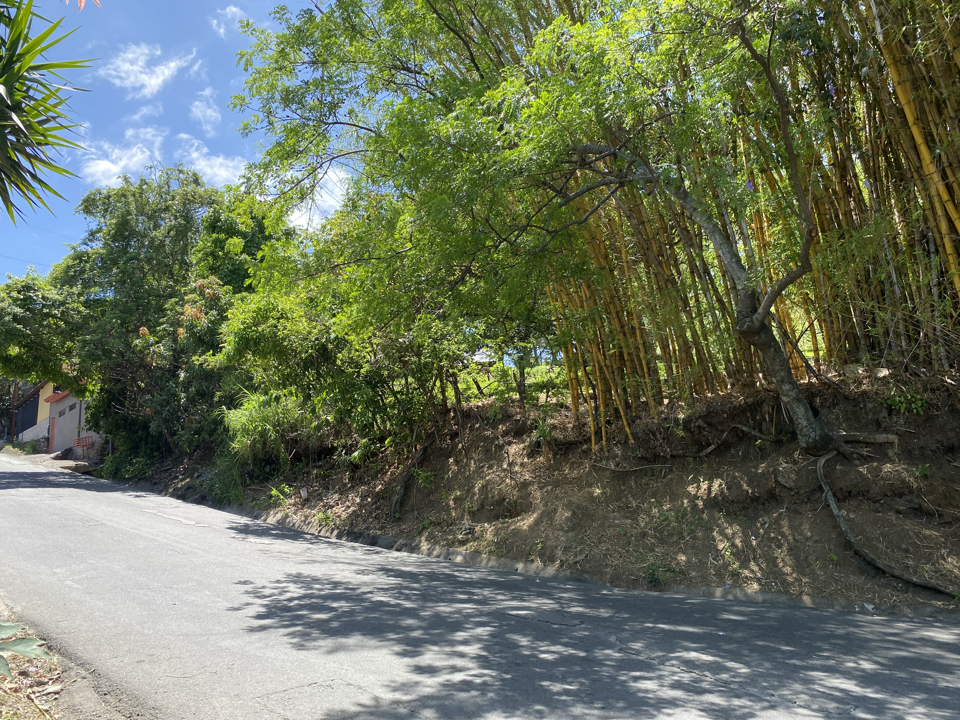 Quiet street — secondary access view 2